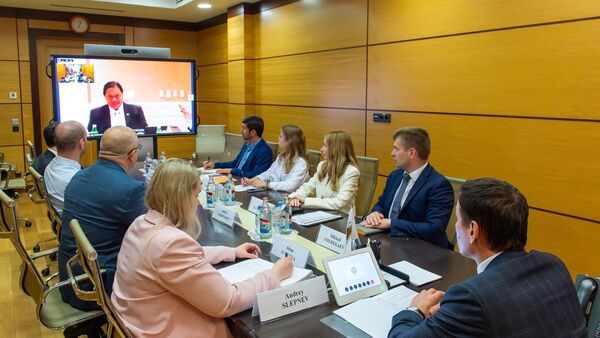 Министр по торговле Евразийской экономической комиссии Андрей Слепнев и министр-координатор по экономическим вопросам Республики Индонезия Аирлангга Хартарто на переговорах по заключению соглашения о свободной торговле - Sputnik Армения