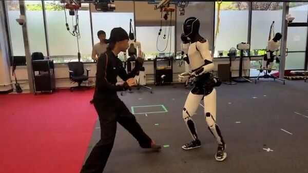 Իլոն Մասկը ցույց է տվել` ինչպես է մարդանման ռոբոտը կունգ-ֆուի հնարքներ սովորում - Sputnik Արմենիա