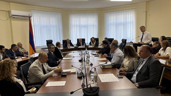 Հանձնաժողովի նիստում - Sputnik Արմենիա
