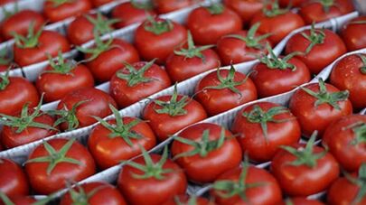 Иранские томаты