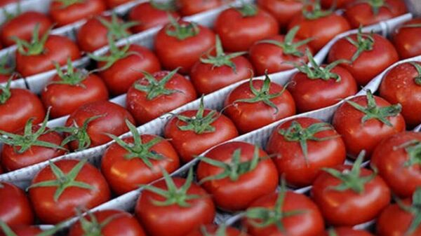 Иранские томаты - Sputnik Արմենիա