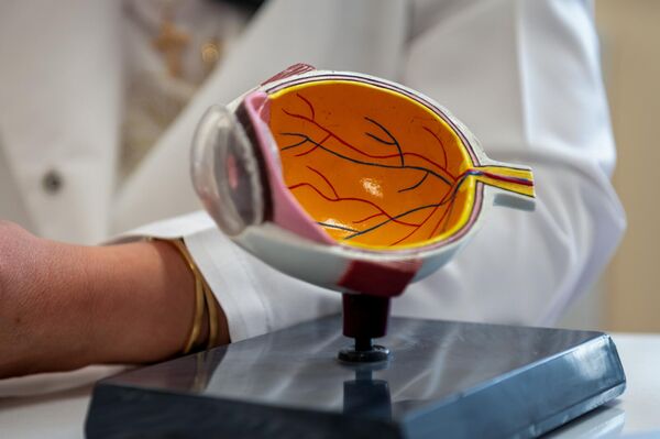 Макет глаза на столе врача-офтальмолога Ани Амбарцумян - Sputnik Армения