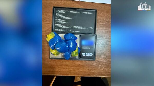 Գեղարքունիքի քրեական ոստիկանները ձերբակալել են թմրանյութ տեղադրողի - Sputnik Արմենիա