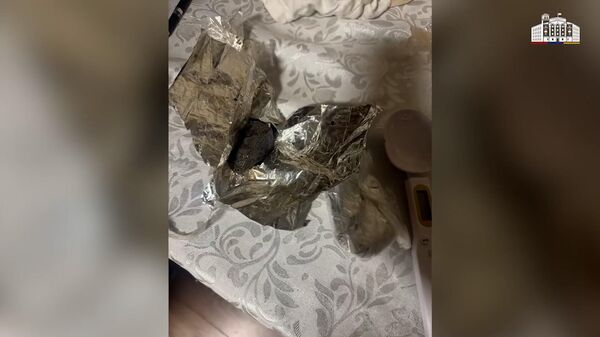 Քրեական ոստիկանները ապօրինի շրջանառությունից հանել են շուրջ 11,5 կիլոգրամ թմրամիջոց. չորս անձ կալանավորվել է - Sputnik Արմենիա