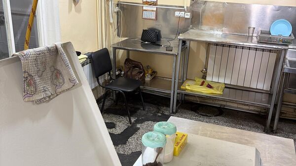 «Զավիկի ղարսի» մի քանի մասնաճյուղի արտադրական գործունեությունը կասեցվել է - Sputnik Արմենիա