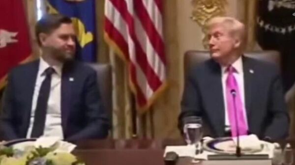 Թրամփին ու Վենսին զվարճացրել է Զելենսկու առաջարկը - Sputnik Արմենիա