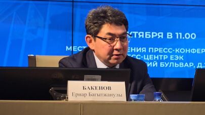 "Видим положительную динамику": представитель ЕЭК представитель ЕЭК о миграционной проблеме армянских водителей фур при въезде