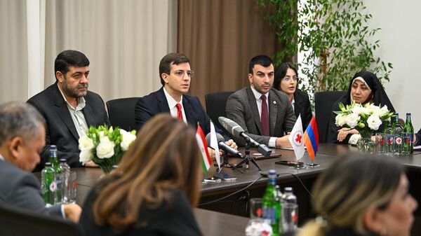 Пресс-конференция президента Армянского общества Красного Креста Давида Нерсисяна и президента Иранского Красного Полумесяца доктора Пирхоссейна Коливанда (28 октября 2025). Еревaн - Sputnik Армения