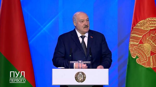 Лукашенко прокомментировал повод из-за которого Литва хочет закрыть границы с Белоруссией - Sputnik Արմենիա