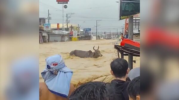 Ураган Калмаеги на Филиппинах - Sputnik Արմենիա