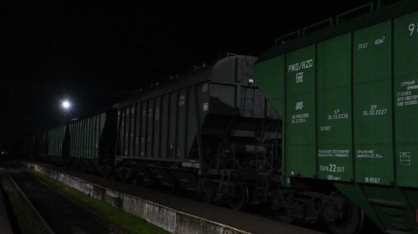 Ցորենով բեռնված վագոնները «Այրում» կայարանում - Sputnik Արմենիա