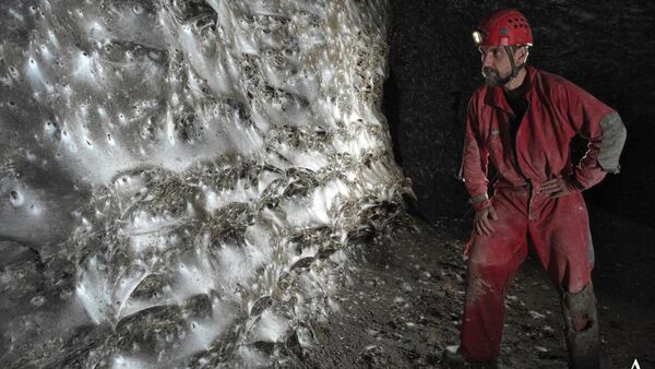 Необычное колониальное сообщество пауков в пещере Сульфур (Албания/Греция) - Sputnik Армения