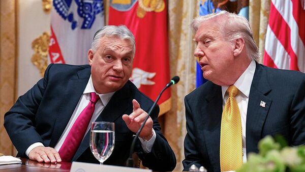 Հանդիպման ժամանակ - Sputnik Արմենիա