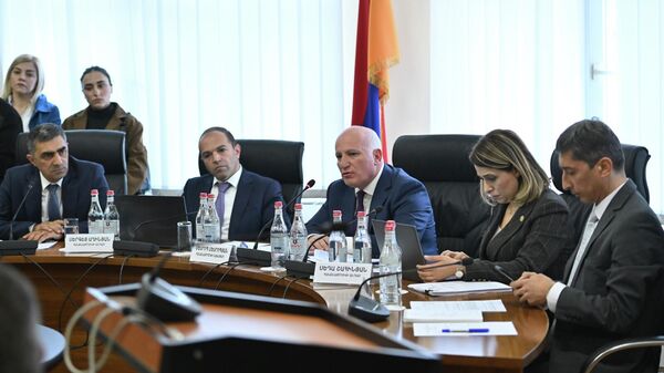 ՀԾԿՀ նիստը - Sputnik Արմենիա
