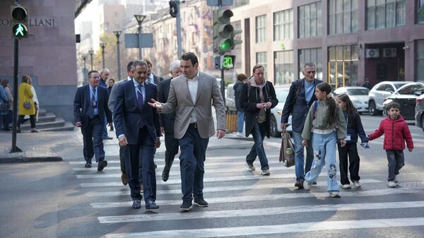 Նարեկ Կարապետյան - Sputnik Արմենիա