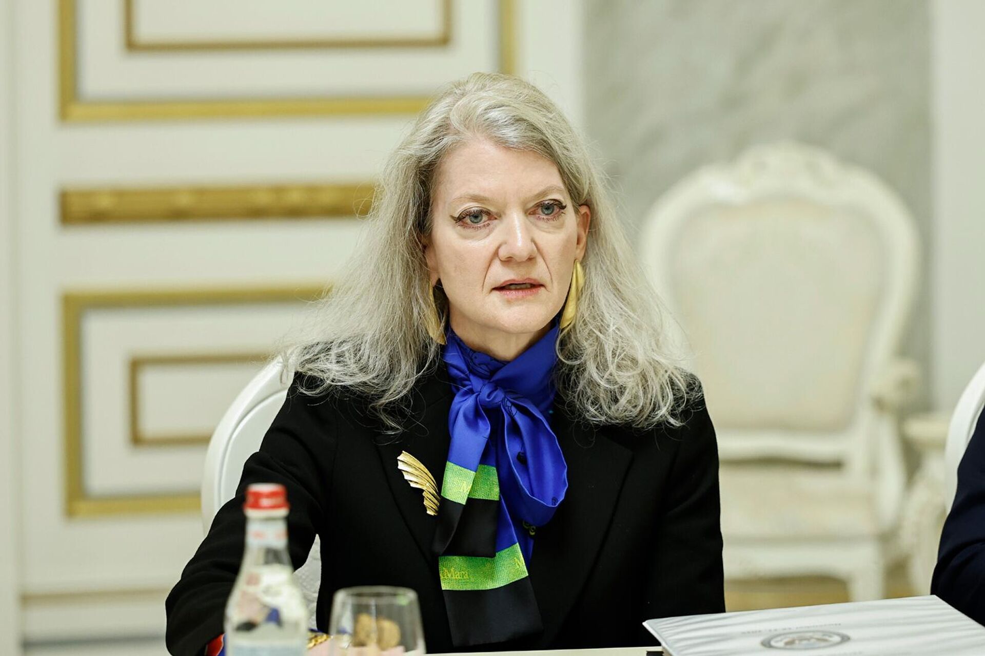 Заместитель государственного секретаря США Эллисон Хукер на встрече с премьер-министром Армении (17 ноября 2025). Еревaн - Sputnik Արմենիա, 1920, 17.11.2025