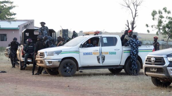 Նիգերական ոստիկանություն. արխիվային լուսանկար - Sputnik Արմենիա