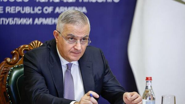 Вице-премьер Мгер Григорян принял участие в очередном заседании Совета Евразийской экономической комиссии в режиме видеоконференции (19 ноября 2025). Еревaн - Sputnik Армения