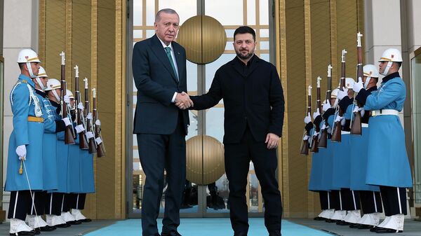 Էրդողանն ու Զելենսկին - Sputnik Արմենիա