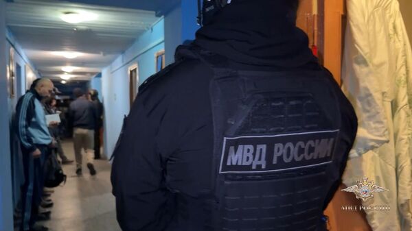 Гендиректор нескольких фирм и иностранец незаконно легализовали в России около 3 тысяч мигрантов - Sputnik Արմենիա