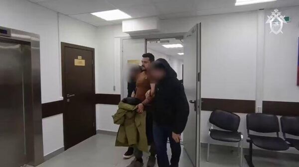 Մոսկվայում հայ գործարարի կնոջը և 9-ամյա դստերը սպանելու մեջ կասկածվողը ձերբակալվել է - Sputnik Արմենիա