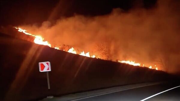 Լայնամասշտաբ հրդեհներ են  Ճամբարակի տարածաշրջանում - Sputnik Արմենիա