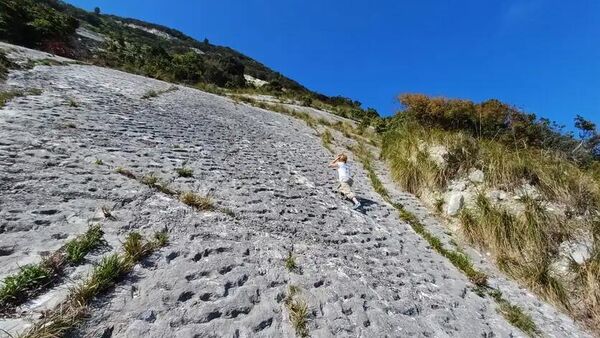 Возможные следы морских черепах в Монте-Конеро, Италия - Sputnik Армения