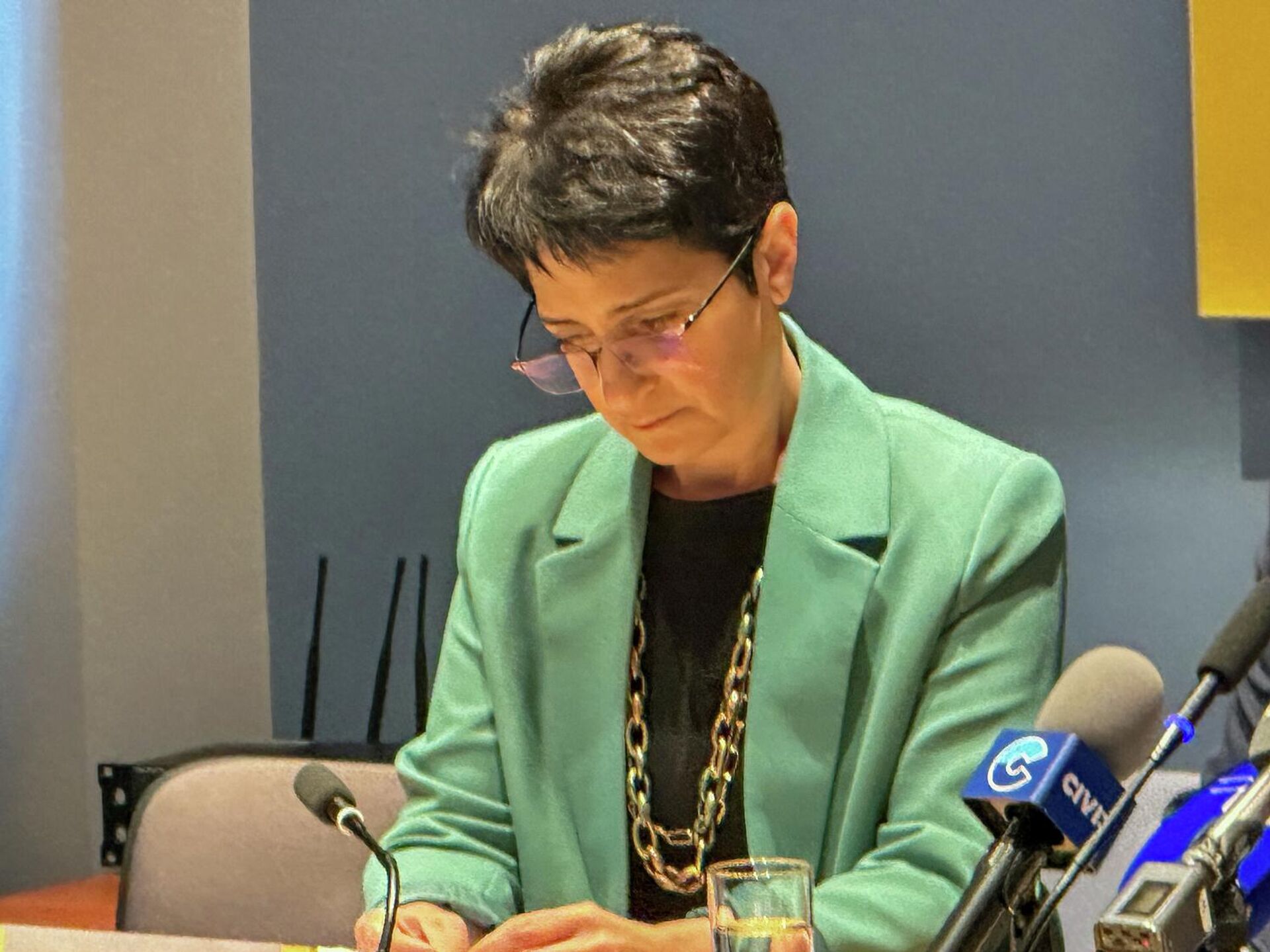 Наира Султанян во время пресс-конференции (24 ноябрь 2025). Еревaн - Sputnik Արմենիա, 1920, 24.11.2025