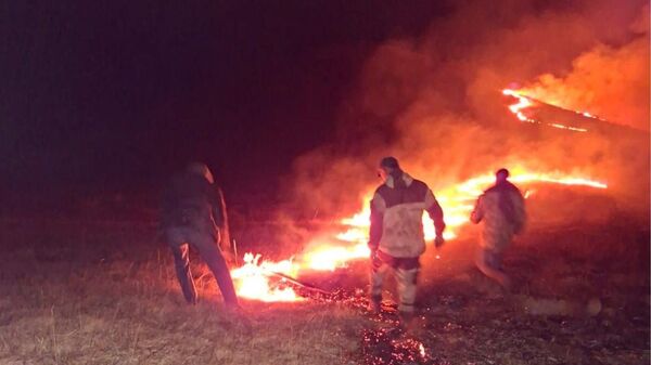 Тушение пожара на территории Гегаркуникской области - Sputnik Армения