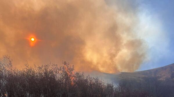Հրդեհներ Տավուշի մարզում - Sputnik Արմենիա