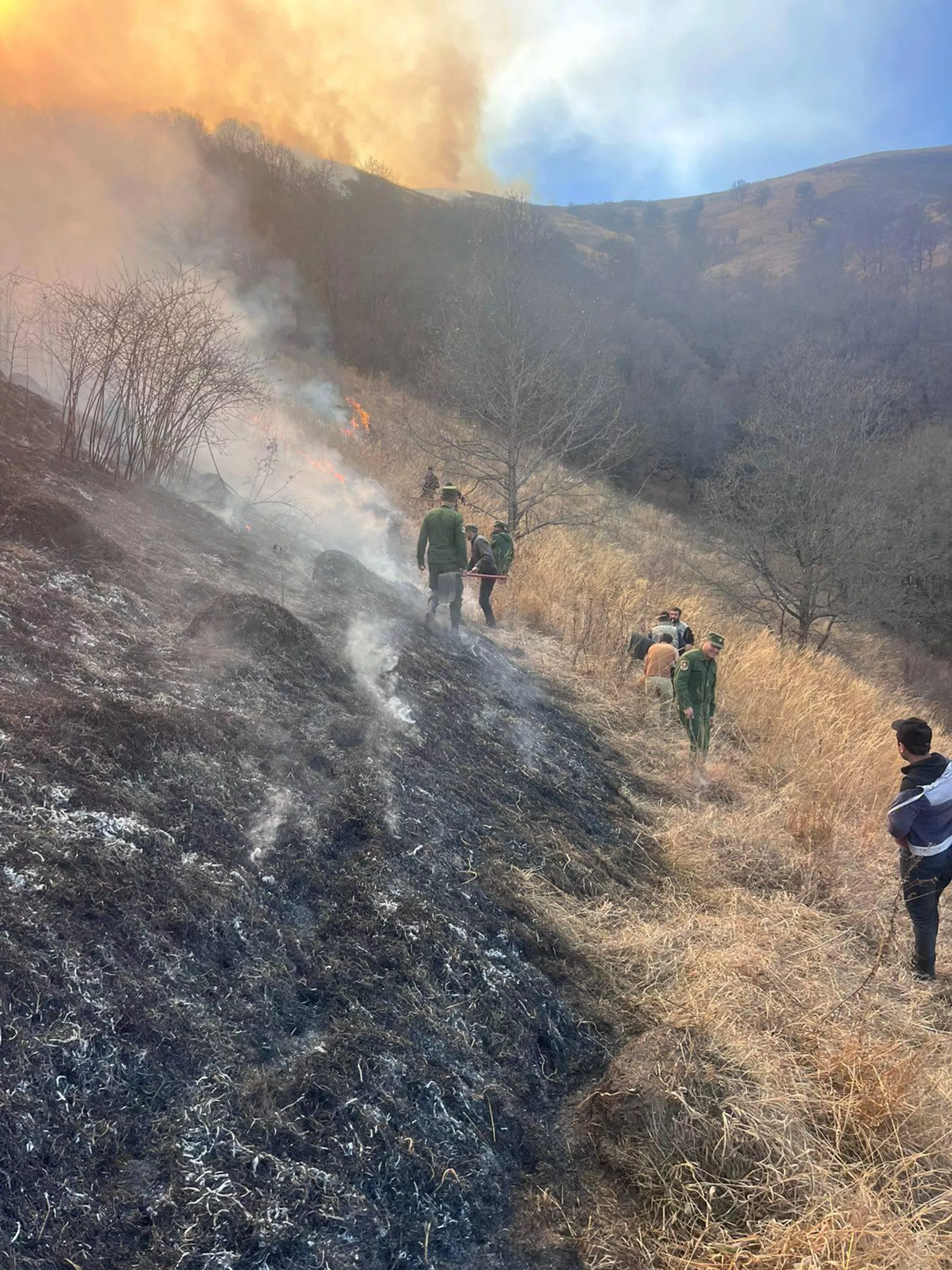 Лесной пожар в Тавушской области - Sputnik Армения, 1920, 25.11.2025