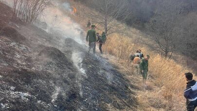 Лесной пожар в Тавушской области