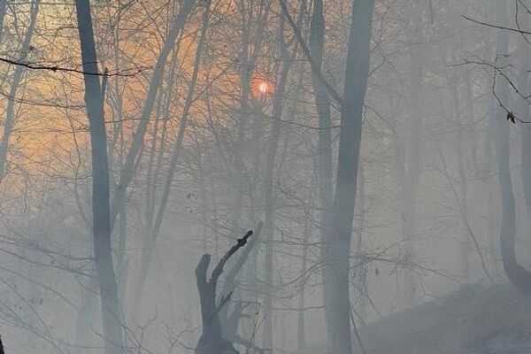 Հրդեհաշիջման աշխատանքներ Նավուր բնակավայրին կից անտառներում  - Sputnik Արմենիա