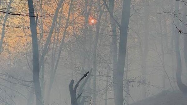 Лесной пожар у поселка Навур в Берде (23 ноября 2025). Тавуш - Sputnik Армения