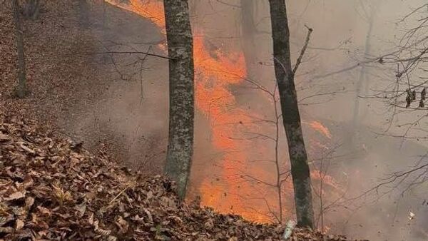 Տավուշի մարզ - Sputnik Արմենիա