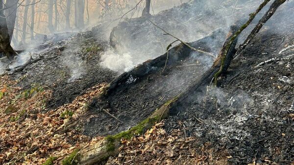 Հրդեհ - Sputnik Արմենիա
