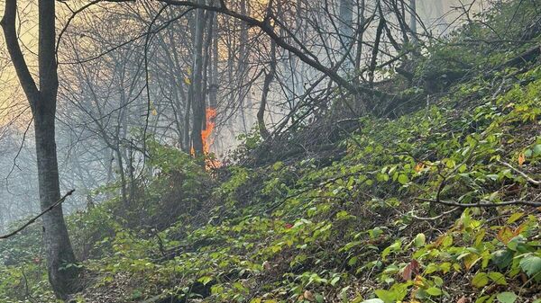 Лесной пожар у поселка Навур в Берде (23 ноября 2025). Тавуш - Sputnik Армения