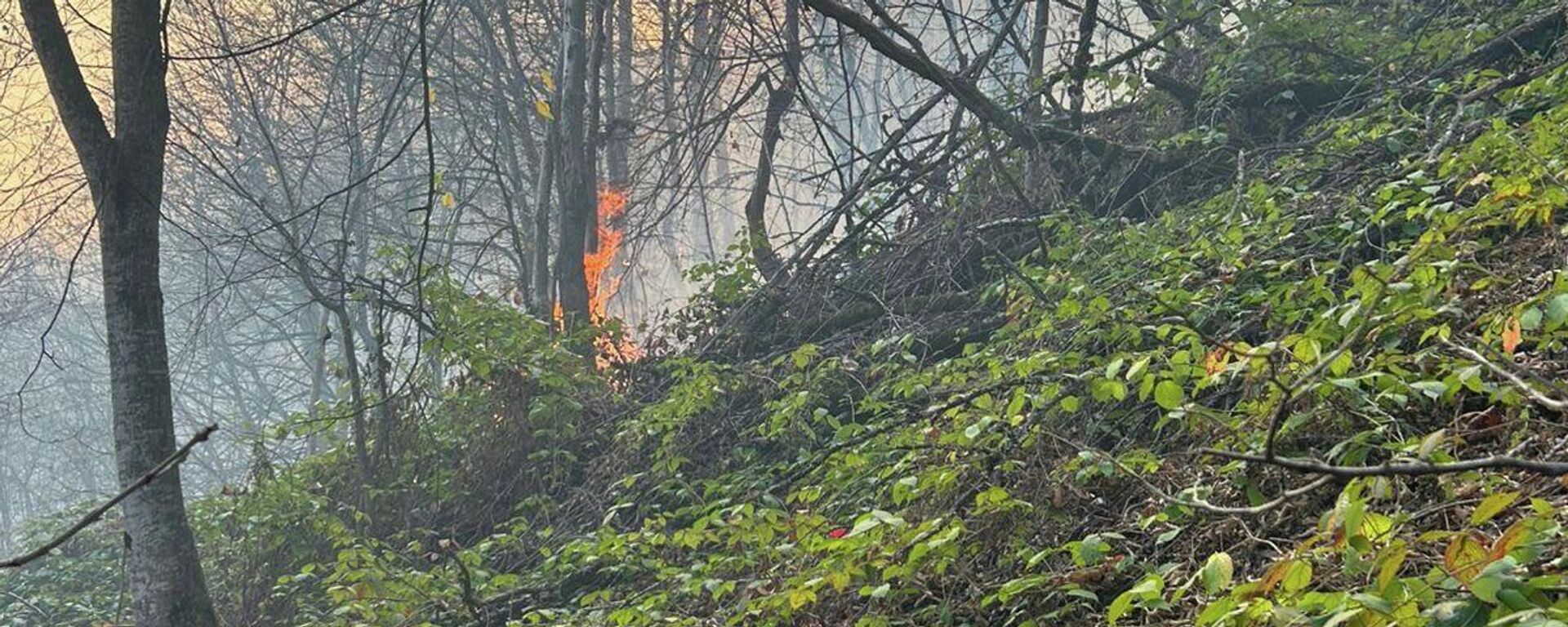 Лесной пожар у поселка Навур в Берде (23 ноября 2025). Тавуш - Sputnik Армения, 1920, 26.11.2025