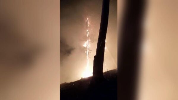 Пожары вокруг молоканского села Фиолетово - Sputnik Армения