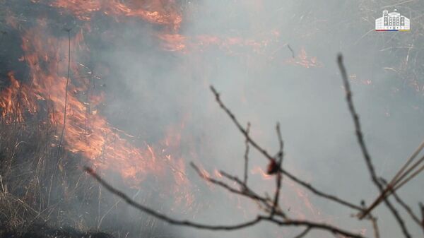 Հրդեհների բոլոր օջախները մարվել են - Sputnik Արմենիա