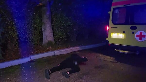 Убийство одного из старших офицеров Минобороны по заданию Киева предотвратили в Крыму - Sputnik Армения