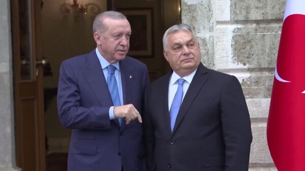 Էրդողանն ու Օրբանը փաստաթղթերի փաթեթ են ստորագրել - Sputnik Արմենիա