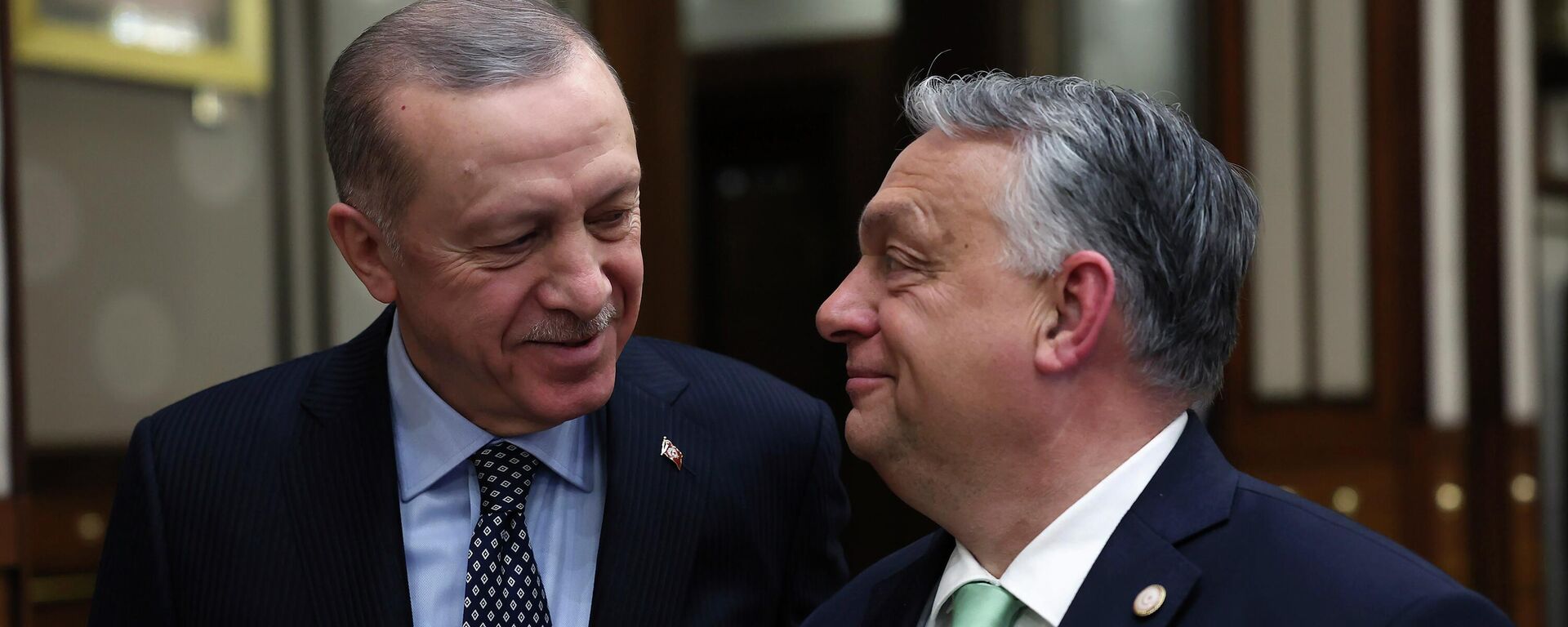 Президент Турции Реджеп Тайип Эрдоган и премьер-министр Венгрии Виктор Орбан - Sputnik Армения, 1920, 08.12.2025