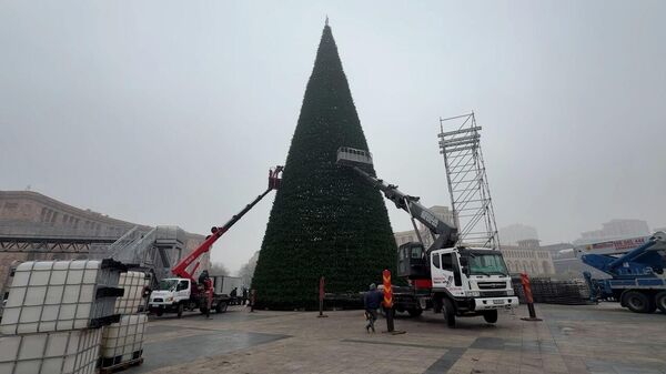 Сверкающие огни и густые ветки: главная елка Еревана обрела новый блеск - Sputnik Армения