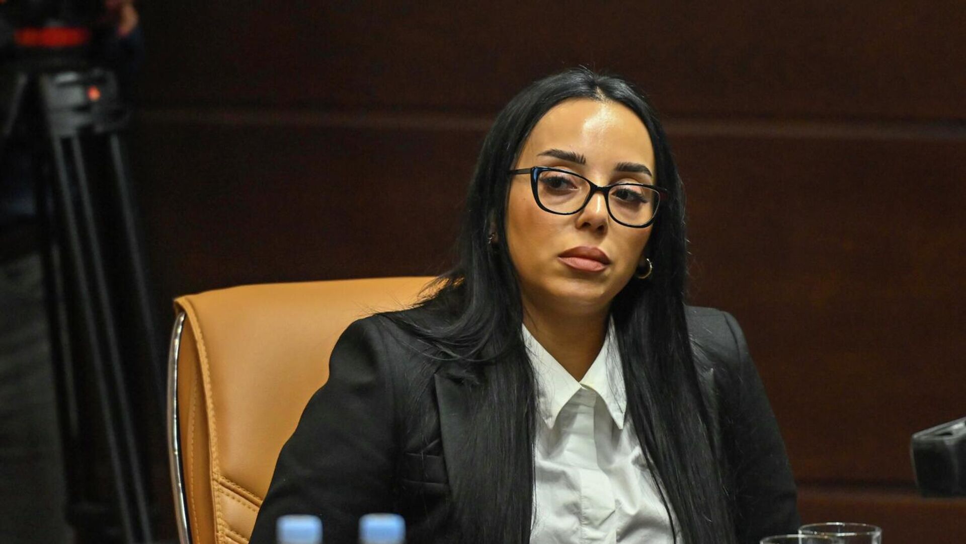 Адвокат Лиана Гаспарян во время пресс-конференции (12 декабря 2025). Еревaн - Sputnik Армения, 1920, 12.12.2025