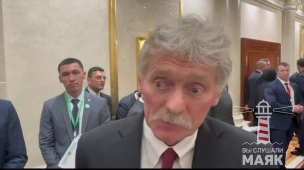 Песков о переговорах Путина и Эрдогана - Sputnik Армения