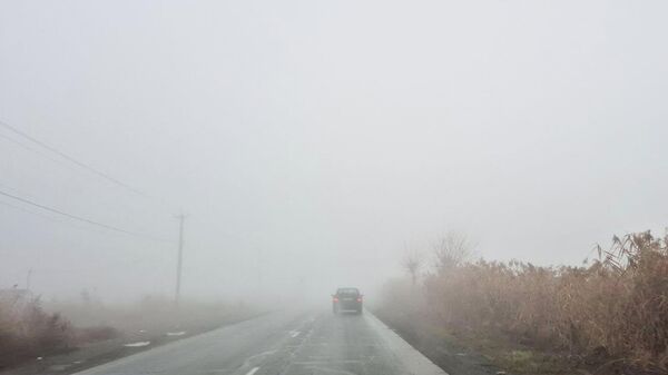 Туманная дорога - Sputnik Армения