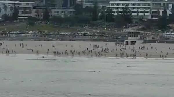 Стрельба на пляже Бонди в Сиднее - Sputnik Армения