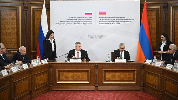 Կայացել է Հայաստանի Հանրապետության և Ռուսաստանի Դաշնության միջև տնտեսական համագործակցության միջկառավարական հանձնաժողովի նիստը - Sputnik Արմենիա