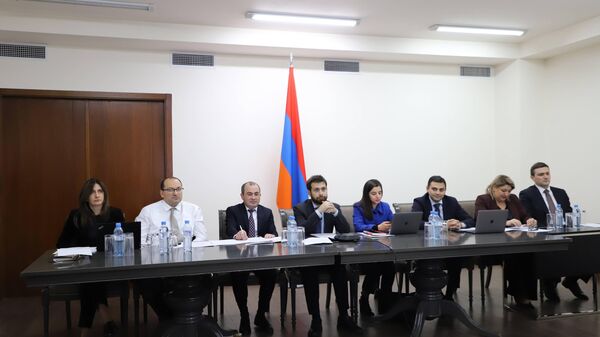 ՀՀ-ԱՄՆ աշխատանքային խմբի անդրանիկ հանդիպումը - Sputnik Արմենիա